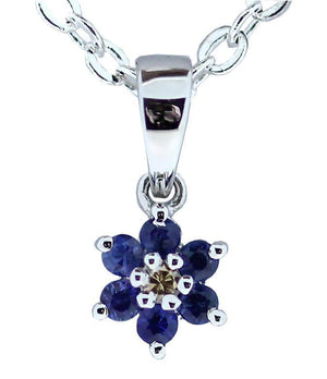 Sapphire and Diamond pendant set in 14kt White gold